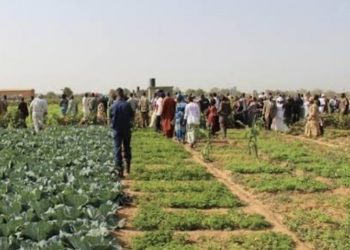 Brakna : Les autorités imposent une solution provisoire dans le litige foncier de Seno Boussobé