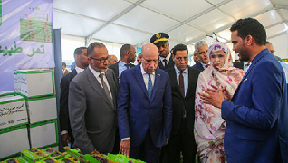 Les programmes sociaux spéciaux du gouvernement pour le Ramadan 2026 en chiffres