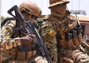 Mali :  plusieurs bases terroristes neutralisées par les FAMa dans la région de Kayes