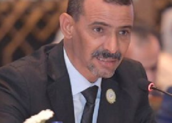 La Mauritanie est sécurisée aussi bien à l’intérieur qu’au niveau de ses frontières, rassure le Gouvernement