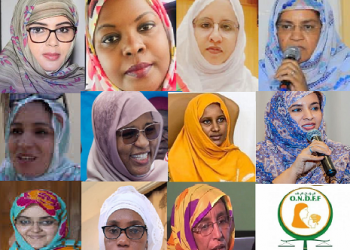 Fatimetou Mohamed Lemine N&rsquo;Diayane succède à Mehla …