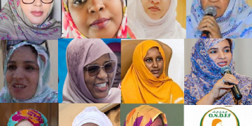 Fatimetou Mohamed Lemine N&rsquo;Diayane succède à Mehla …