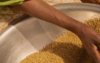 8 mars : quand la solidarité devient une force de transformation en Mauritanie