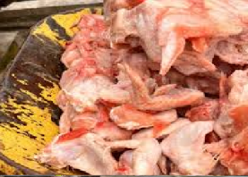 Rosso : destruction de plus de 8 tonnes de viande de poulet congelée périmé
