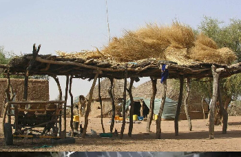 Mazilgha : un village en quête de reconnaissance et de justice