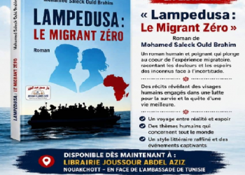 Roman «Lampedusa: l’immigrant zéro » : trois portraits pour raconter l’humanité derrière la migration