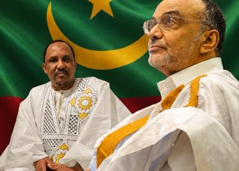 Lettre ouverte à Monsieur Sidi Mohamed Ould Boubacar: Monsieur le Premier ministre,