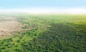 Collectif des propriétaires terriens Walo Yirlabé diéri (Walodiane)