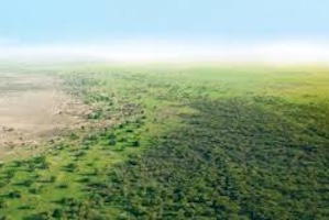 Collectif des propriétaires terriens Walo Yirlabé diéri (Walodiane)