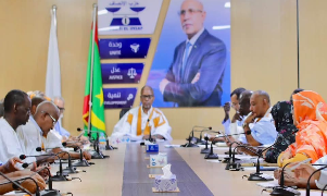 Mauritanie : Le parti El Insaf mise sur la Constitution pour l&rsquo;avenir du projet présidentiel